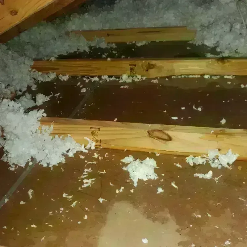 Attic Water Damage in Hardeman County, TX